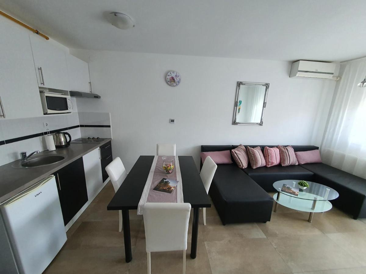 Apartment Vesna Toplice Sveti Martin Muraszentmárton Kültér fotó